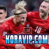 فريق الدنمارك المتوقعة أمام ألمانيا في اليورو